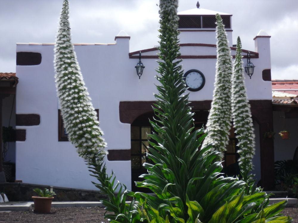 Finca El Picacho Hotel Valle de Guerra Buitenkant foto